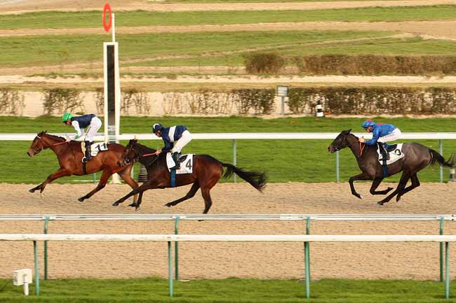 Photo d'arrivée de la course pmu PRIX DE LA GAGNERIE à DEAUVILLE le Jeudi 17 décembre 2015