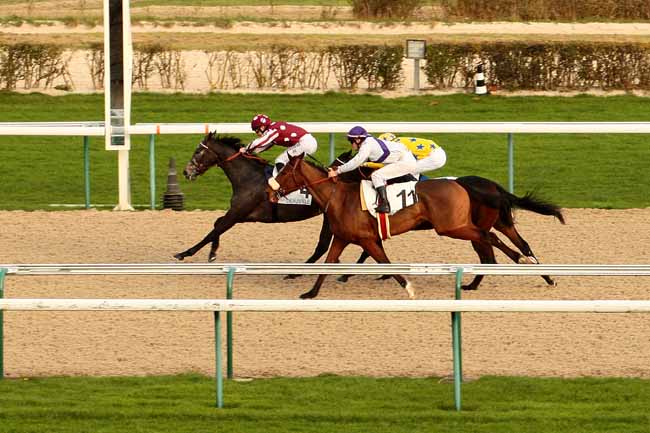 Photo d'arrivée de la course pmu PRIX DE MAROLLES à DEAUVILLE le Jeudi 17 décembre 2015