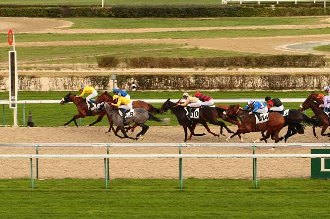 Photo d'arrivée de la course pmu PRIX DE BREUIL à DEAUVILLE le Jeudi 17 décembre 2015