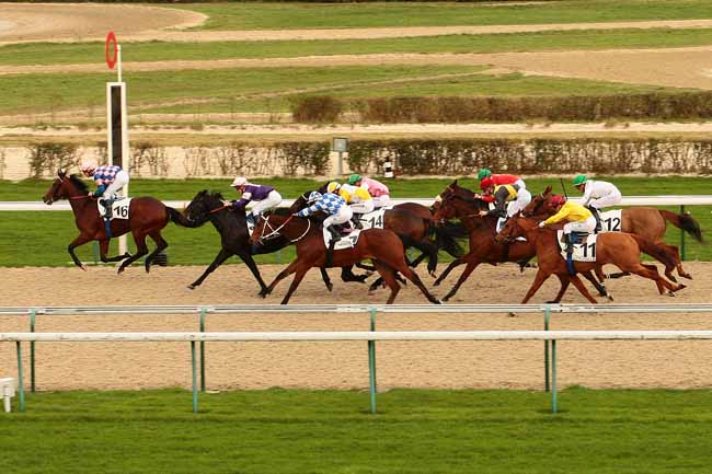Photo d'arrivée de la course pmu PRIX DE BREUILLY à DEAUVILLE le Jeudi 17 décembre 2015