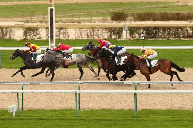Photo d'arrivée de la course pmu PRIX DE LA BOURDONNIERE à DEAUVILLE le Jeudi 17 décembre 2015
