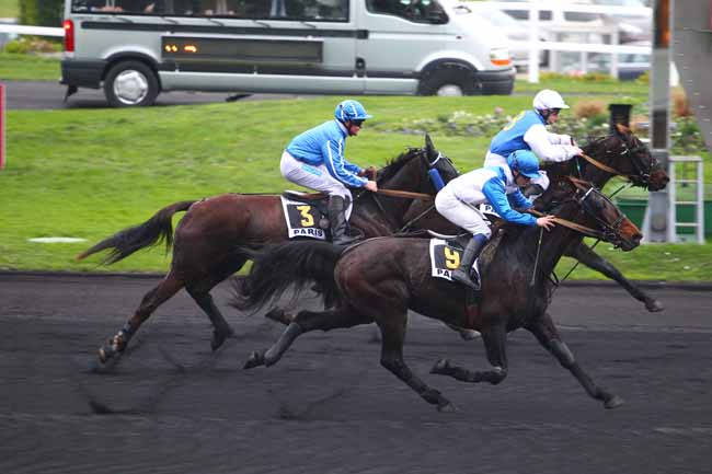 Photo d'arrivée de la course pmu PRIX DU NEUBOURG à PARIS-VINCENNES le Vendredi 18 décembre 2015