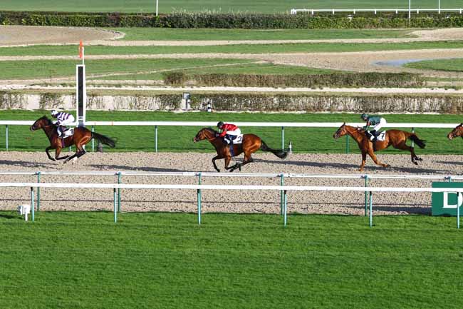 Photo d'arrivée de la course pmu PRIX DE ROCQUES à DEAUVILLE le Lundi 21 décembre 2015