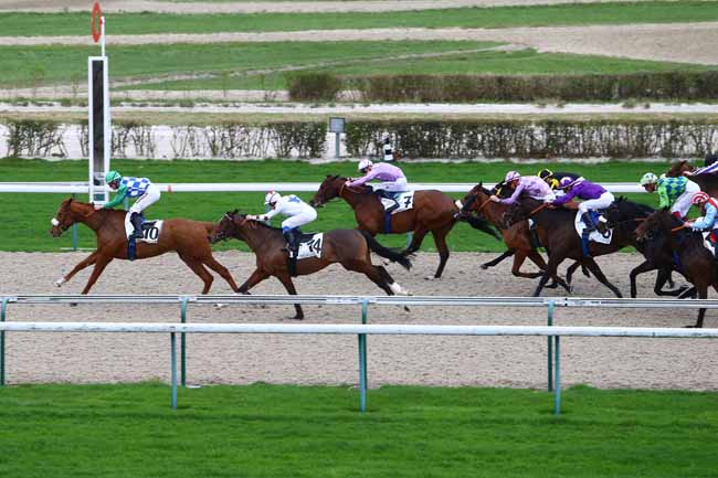 Photo d'arrivée de la course pmu PRIX DU BOCAGE ORNAIS à DEAUVILLE le Lundi 21 décembre 2015