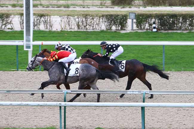Photo d'arrivée de la course pmu PRIX DES PERRETS à DEAUVILLE le Lundi 21 décembre 2015