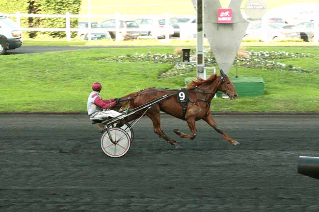 Photo d'arrivée de la course pmu PRIX DES HORTENSIAS (GR A) à PARIS-VINCENNES le Mardi 22 décembre 2015