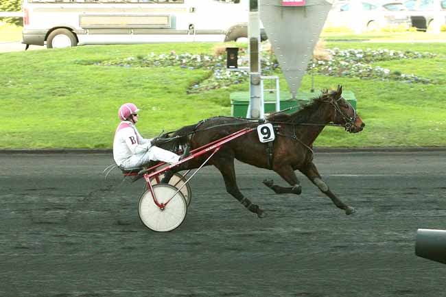 Photo d'arrivée de la course pmu PRIX DES HORTENSIAS (GR B) à PARIS-VINCENNES le Mardi 22 décembre 2015