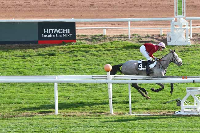 Photo d'arrivée de la course pmu PRIX ALAIN DU BREIL à CAGNES-SUR-MER le Mercredi 23 décembre 2015