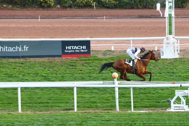 Photo d'arrivée de la course pmu PRIX KATKO à CAGNES-SUR-MER le Mercredi 23 décembre 2015