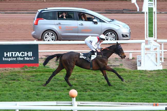 Photo d'arrivée de la course pmu PRIX DE CHELTENHAM à CAGNES-SUR-MER le Mercredi 23 décembre 2015