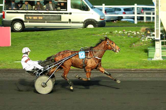 Photo d'arrivée de la course pmu PRIX DES IRIS à PARIS-VINCENNES le Jeudi 24 décembre 2015