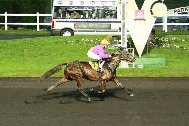 Photo d'arrivée de la course pmu PRIX DE COURTEILLES à PARIS-VINCENNES le Vendredi 25 décembre 2015