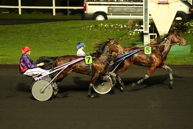 Photo d'arrivée de la course pmu PRIX DE CHATEAU-SALINS à PARIS-VINCENNES le Vendredi 25 décembre 2015
