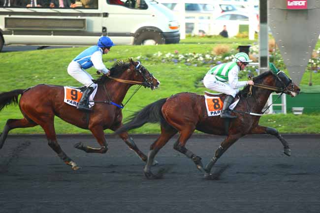 Photo d'arrivée de la course pmu PRIX EMILE RIOTTEAU à PARIS-VINCENNES le Dimanche 27 décembre 2015