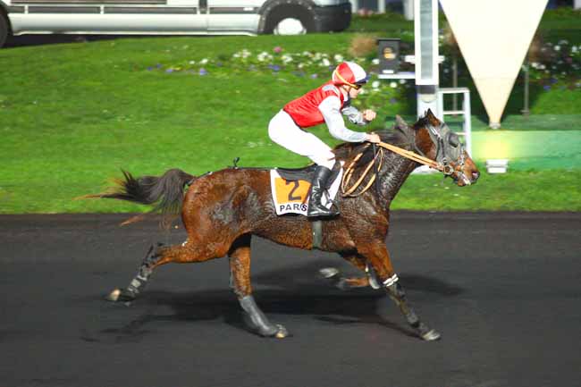 Photo d'arrivée de la course pmu PRIX DE CABRIERES à PARIS-VINCENNES le Dimanche 27 décembre 2015