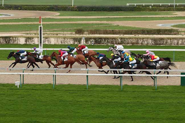 Photo d'arrivée de la course pmu PRIX DE BERD'HUIS à DEAUVILLE le Dimanche 27 décembre 2015
