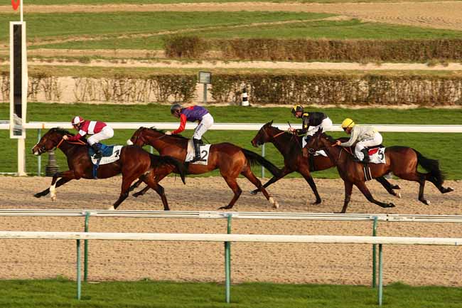 Photo d'arrivée de la course pmu PRIX DU HAUT GUE à DEAUVILLE le Dimanche 27 décembre 2015