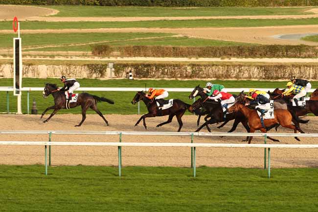 Photo d'arrivée de la course pmu PRIX DE CHEFFRETEAU à DEAUVILLE le Dimanche 27 décembre 2015