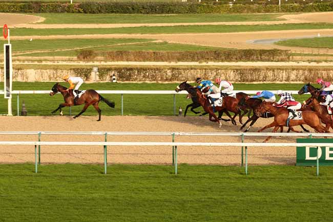 Photo d'arrivée de la course pmu PRIX DE LA CHEVALERIE à DEAUVILLE le Dimanche 27 décembre 2015
