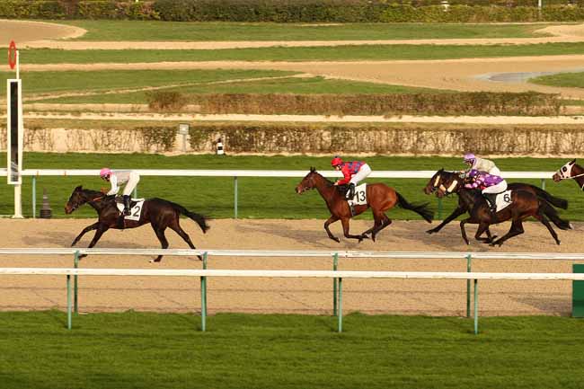 Photo d'arrivée de la course pmu PRIX DES DAMES à DEAUVILLE le Dimanche 27 décembre 2015