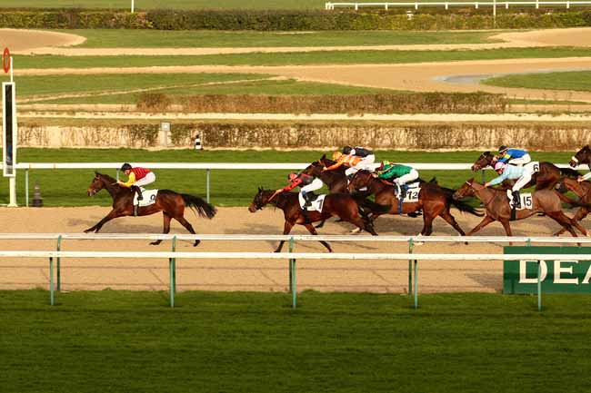 Photo d'arrivée de la course pmu PRIX MISS SATAMIXA à DEAUVILLE le Dimanche 27 décembre 2015