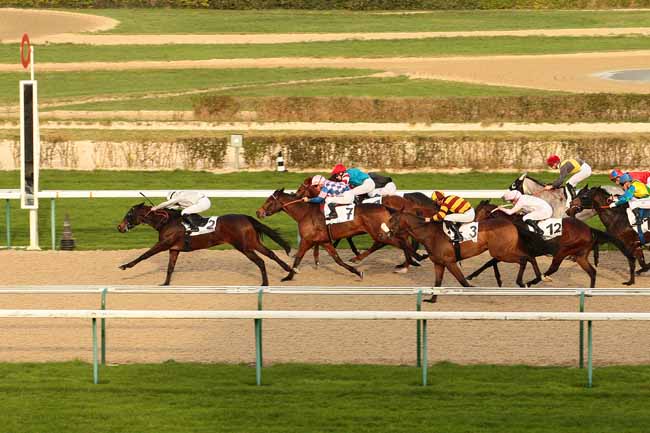 Photo d'arrivée de la course pmu PRIX DE COMMEAUX à DEAUVILLE le Dimanche 27 décembre 2015