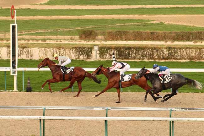 Photo d'arrivée de la course pmu PRIX DE RABODANGES à DEAUVILLE le Dimanche 27 décembre 2015