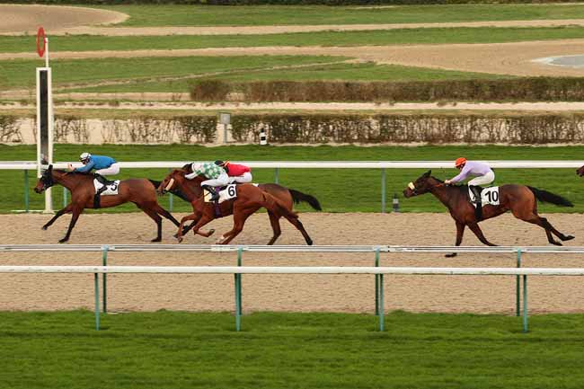 Photo d'arrivée de la course pmu PRIX DE BEAUFAI à DEAUVILLE le Dimanche 27 décembre 2015