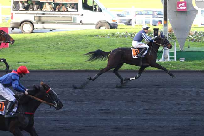 Photo d'arrivée de la course pmu PRIX DE BEAUMONT-DE-LOMAGNE à PARIS-VINCENNES le Lundi 28 décembre 2015