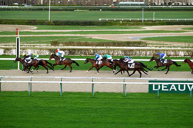 Photo d'arrivée de la course pmu PRIX DE MAGOUET à DEAUVILLE le Lundi 28 décembre 2015