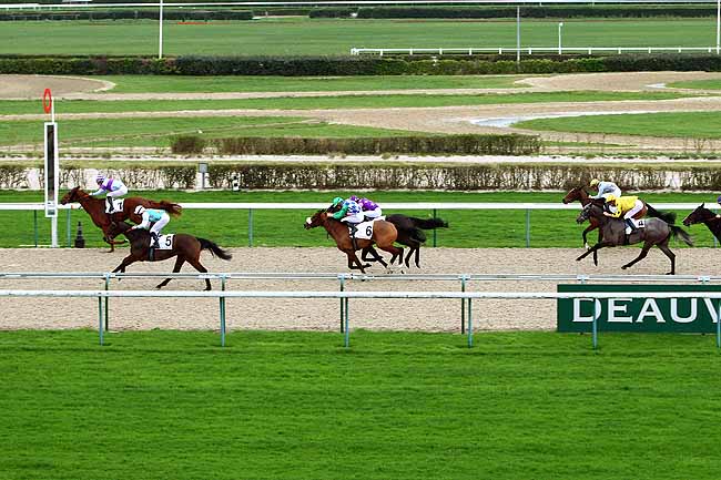 Photo d'arrivée de la course pmu PRIX DU HOME à DEAUVILLE le Lundi 28 décembre 2015