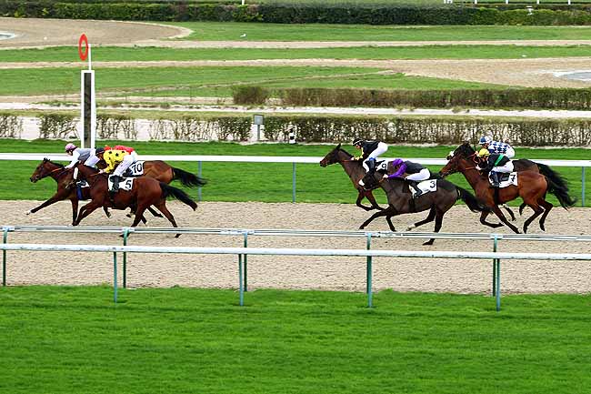 Photo d'arrivée de la course pmu PRIX DU CHENET à DEAUVILLE le Lundi 28 décembre 2015