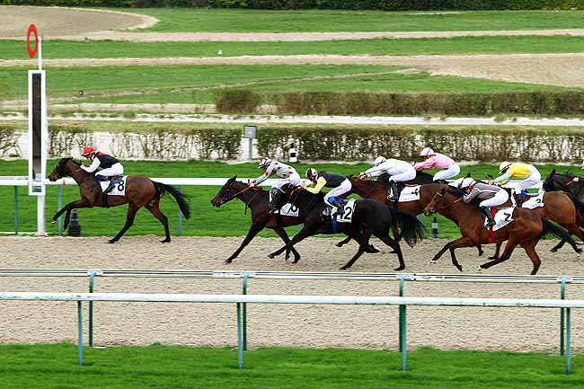 Photo d'arrivée de la course pmu PRIX DE CUIGNY à DEAUVILLE le Lundi 28 décembre 2015