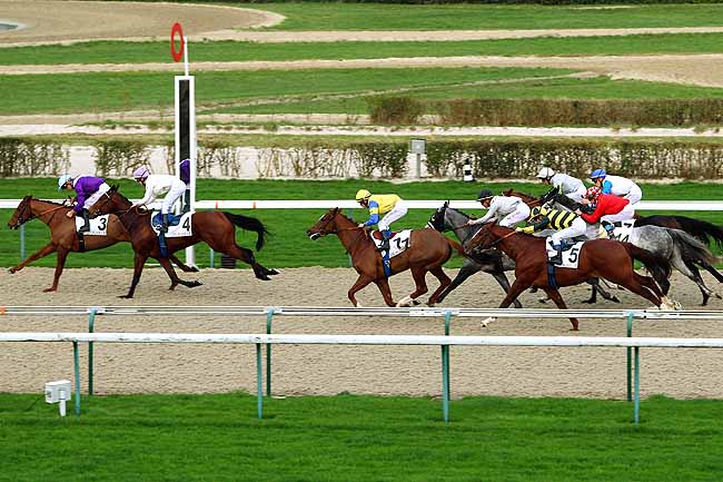 Photo d'arrivée de la course pmu PRIX DE MEDAVY à DEAUVILLE le Lundi 28 décembre 2015