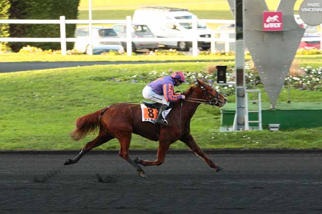 Photo d'arrivée de la course pmu PRIX DE GAMBAIS à PARIS-VINCENNES le Mardi 29 décembre 2015