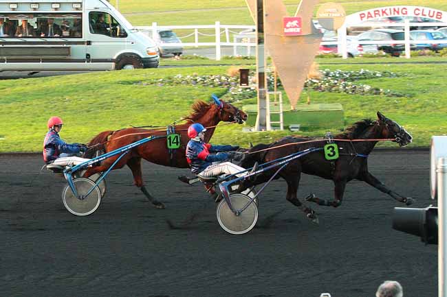 Photo d'arrivée de la course pmu PRIX DE LIMAY à PARIS-VINCENNES le Mardi 29 décembre 2015