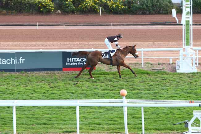 Photo d'arrivée de la course pmu PRIX DU PAYS DE LOIRE à CAGNES-SUR-MER le Mercredi 30 décembre 2015