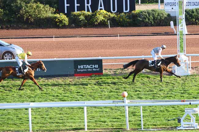 Photo d'arrivée de la course pmu PRIX CYBORG à CAGNES-SUR-MER le Mercredi 30 décembre 2015