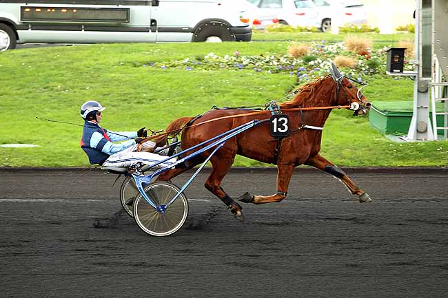 Photo d'arrivée de la course pmu PRIX DE MOULINS à PARIS-VINCENNES le Mercredi 30 décembre 2015