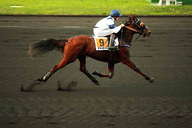 Photo d'arrivée de la course pmu PRIX DE VALOGNES à PARIS-VINCENNES le Mercredi 30 décembre 2015