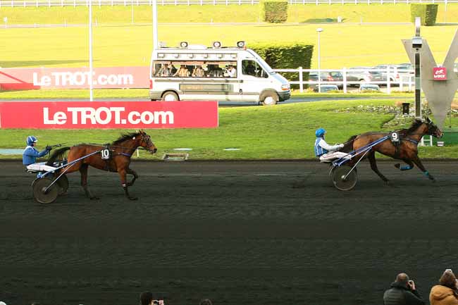 Photo d'arrivée de la course pmu PRIX DE SALVANHAC à PARIS-VINCENNES le Jeudi 31 décembre 2015