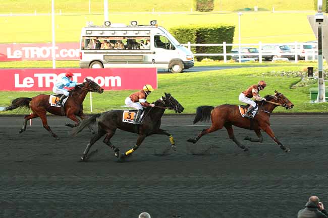 Photo d'arrivée de la course pmu PRIX D'ALBERTVILLE à PARIS-VINCENNES le Jeudi 31 décembre 2015