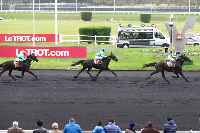 Photo d'arrivée de la course pmu PRIX DE SETE à PARIS-VINCENNES le Vendredi 1 janvier 2016