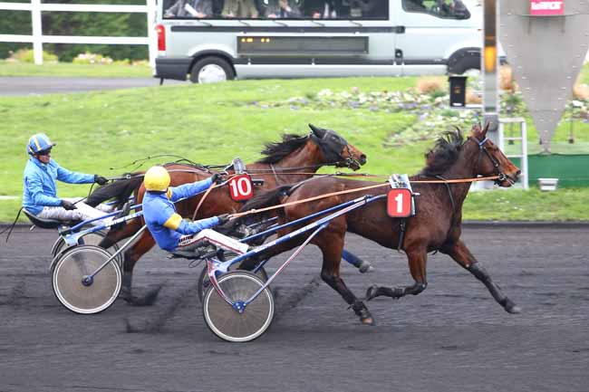 Photo d'arrivée de la course pmu PRIX DE PITHIVIERS à PARIS-VINCENNES le Vendredi 1 janvier 2016