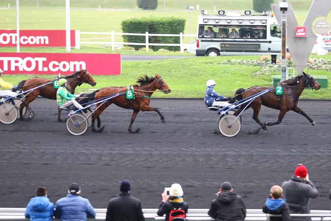 Photo d'arrivée de la course pmu PRIX DE TENCE à PARIS-VINCENNES le Vendredi 1 janvier 2016