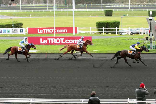 Photo d'arrivée de la course pmu PRIX DE DIVONNE-LES-BAINS à PARIS-VINCENNES le Samedi 2 janvier 2016