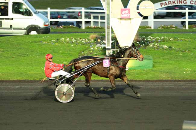 Photo d'arrivée de la course pmu PRIX DE SAINTE-MARIE-DU-MONT à PARIS-VINCENNES le Samedi 2 janvier 2016