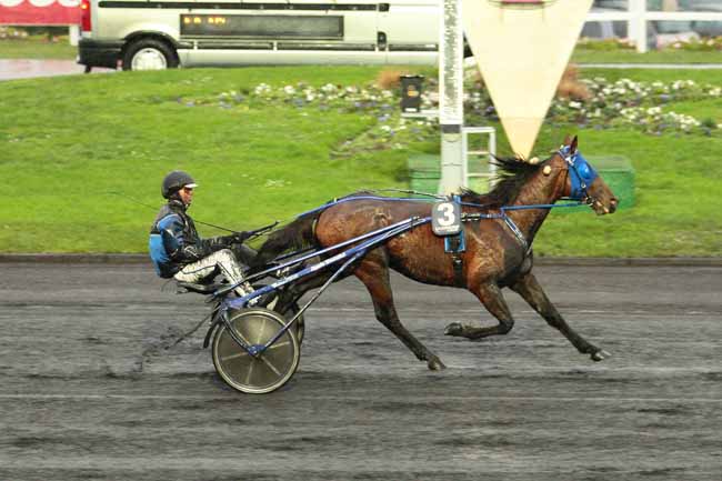Photo d'arrivée de la course pmu PRIX DE BOURGOGNE à PARIS-VINCENNES le Dimanche 3 janvier 2016