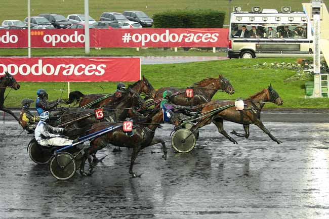 Photo d'arrivée de la course pmu PRIX DE LA MOSELLE à PARIS-VINCENNES le Dimanche 3 janvier 2016