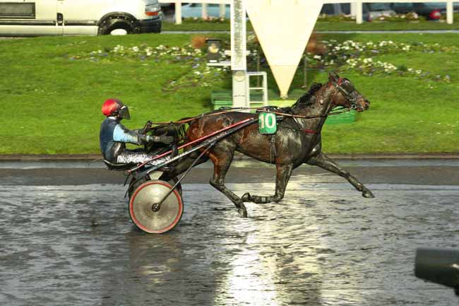 Photo d'arrivée de la course pmu PRIX DE NOZAY à PARIS-VINCENNES le Dimanche 3 janvier 2016